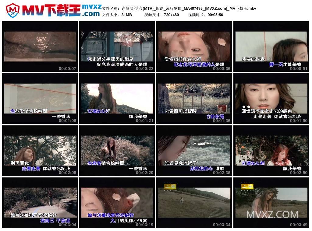 许慧欣-学会(MTV)_国语_流行歌曲_MA407493